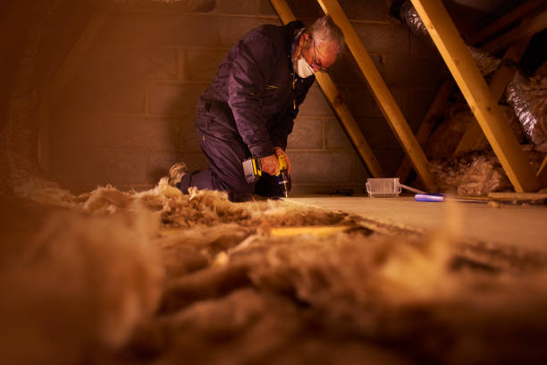 Best Commercial Insulation in Sughter, LA
