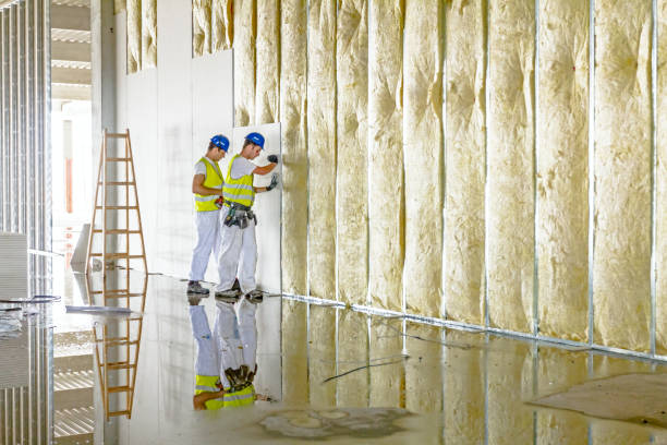 Best Insulation for Specific Applications in Sughter, LA